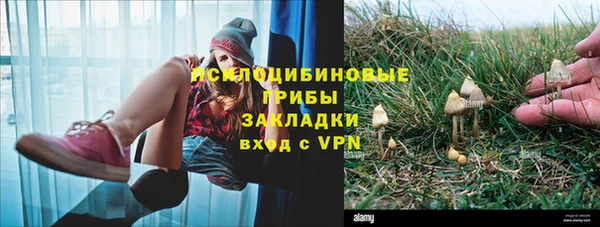 jwh Алзамай