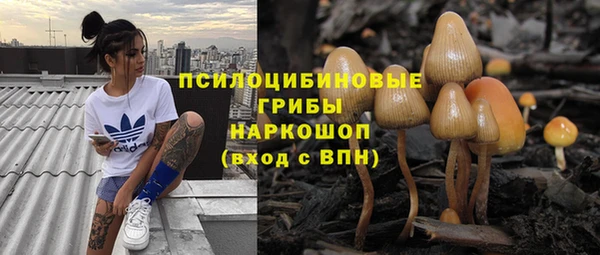 jwh Алзамай